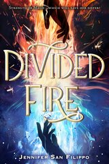 Divided Fire цена и информация | Книги для подростков и молодежи | 220.lv