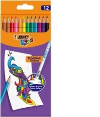 Цветные карандаши с ластиком Bic Kids Evolution Illusion, набор из 12 цветов цена и информация | Принадлежности для рисования, лепки | 220.lv