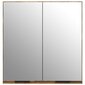 Spoguļa vannas istabas skapis, dūmu ozola krāsā, 64x20x67cm cena un informācija | Vannas istabas skapīši | 220.lv