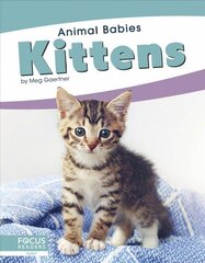 Animal Babies: Kittens cena un informācija | Grāmatas pusaudžiem un jauniešiem | 220.lv