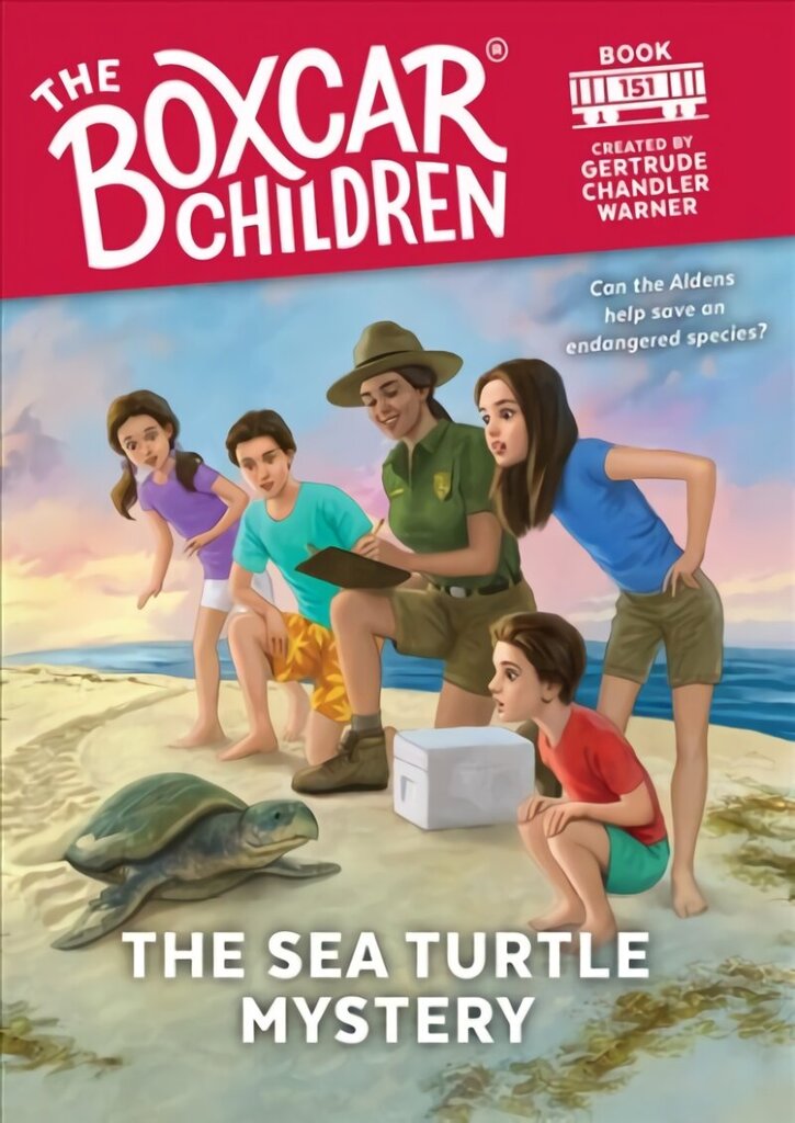 Sea Turtle Mystery cena un informācija | Grāmatas pusaudžiem un jauniešiem | 220.lv