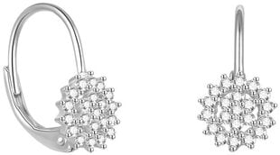 Красивые серебряные серьги с блестящими цирконами Beneto AGUC2265 цена и информация | Серебряный кулон | 220.lv