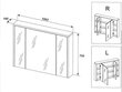 Vannasistabas skapis-spogulis bez apgaismojuma, ozols Hunton 75x100x16 cm HAMPTON цена и информация | Vannas istabas skapīši | 220.lv