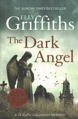 Dark Angel: The Sunday Times Bestseller цена и информация | Фантастика, фэнтези | 220.lv