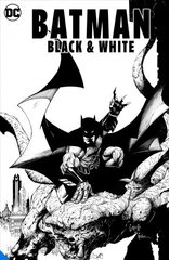 Batman: Black & White cena un informācija | Fantāzija, fantastikas grāmatas | 220.lv