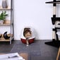 Lionto paklājs kaķu tualetei, 90x60 cm cena un informācija | Kopšanas līdzekļi dzīvniekiem | 220.lv