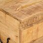 Uzglabāšanas kaste, 39x28x31cm, mango masīvkoks cena un informācija | Veļas grozi un mantu uzglabāšanas kastes | 220.lv