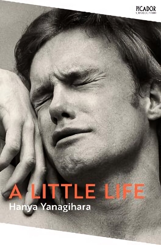 Little Life цена и информация | Fantāzija, fantastikas grāmatas | 220.lv