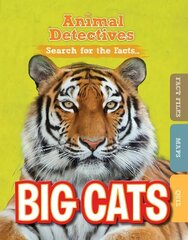 Big Cats цена и информация | Книги для подростков и молодежи | 220.lv