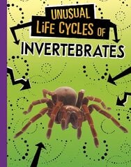 Unusual Life Cycles of Invertebrates цена и информация | Книги для подростков и молодежи | 220.lv