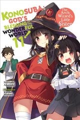 Konosuba: God's Blessing on This Wonderful World!, Vol. 11 (light novel) cena un informācija | Grāmatas pusaudžiem un jauniešiem | 220.lv