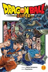 Dragon Ball Super, Vol. 13 цена и информация | Фантастика, фэнтези | 220.lv