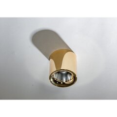 Потолочный светильник Azzardo Mane AZ4329 цена и информация | Потолочные светильники | 220.lv