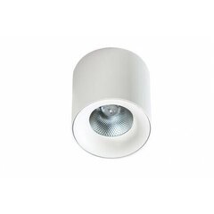 Griestu lampa AZzardo Mane AZ4330 цена и информация | Потолочные светильники | 220.lv