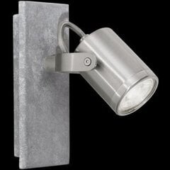 Настенный светильник Eglo Praceta 95741 цена и информация | Настенные светильники | 220.lv