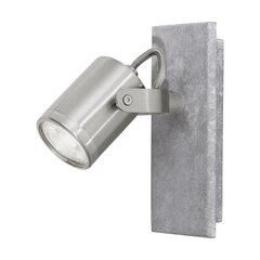 Sienas lampa Eglo Praceta 95741 цена и информация | Настенные светильники | 220.lv