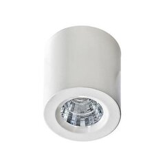 Потолочный светильник AZzardo Nano r AZ2784 цена и информация | Потолочный светильник | 220.lv