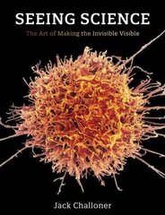 Seeing Science: The Art of Making the Invisible Visible цена и информация | Книги по экономике | 220.lv