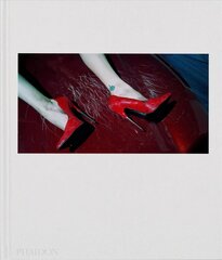 Steven Klein cena un informācija | Grāmatas par fotografēšanu | 220.lv