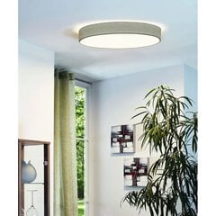 Потолочный светильник Eglo Romao 97784 цена и информация | Потолочный светильник | 220.lv