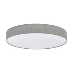 Griestu lampa Eglo Romao 97784 cena un informācija | Griestu lampas | 220.lv