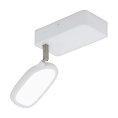 Griestu lampa Eglo Palombare-c 97691 cena un informācija | Griestu lampas | 220.lv