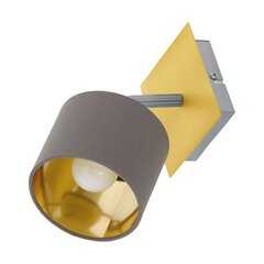 Потолочный светильник Eglo Valbiano 97536 цена и информация | Потолочные светильники | 220.lv