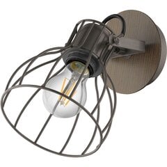 Настенный светильник Eglo Sambatello 98134 цена и информация | Настенные светильники | 220.lv