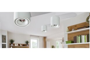 Griestu lampa AZzardo Costa AZ4554 цена и информация | Потолочные светильники | 220.lv