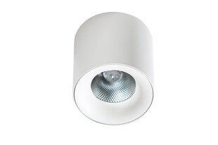 Griestu lampa AZzardo Mane AZ4155 цена и информация | Потолочные светильники | 220.lv