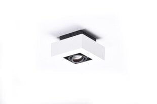 Griestu lampa AZzardo Nikea AZ4430 cena un informācija | Griestu lampas | 220.lv