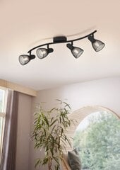 Griestu lampa Eglo Carovigno 98623 цена и информация | Потолочные светильники | 220.lv