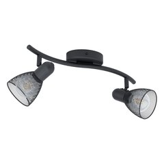 Griestu lampa Eglo Carovigno 98622 цена и информация | Потолочные светильники | 220.lv