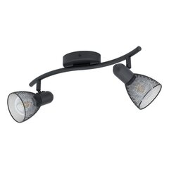 Griestu lampa Eglo Carovigno 98622 цена и информация | Потолочные светильники | 220.lv