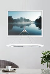 Piekaramā lampa Eglo Hornitos-c 98427 цена и информация | Люстры | 220.lv