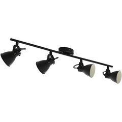 Потолочный светильник Eglo Seras 98408 цена и информация | Потолочные светильники | 220.lv