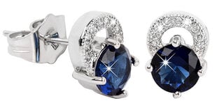 Troli Красивые сверкающие серьги с голубыми кристаллами цена и информация | Серьги | 220.lv