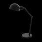 Galda lampa Eglo Exmoor 49041 цена и информация | Galda lampas | 220.lv