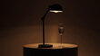 Galda lampa Eglo Exmoor 49041 cena un informācija | Galda lampas | 220.lv