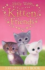 Holly Webb's Kitten Friends: Lost in the Snow, Smudge the Stolen Kitten, The Kitten Nobody Wanted цена и информация | Книги для подростков и молодежи | 220.lv