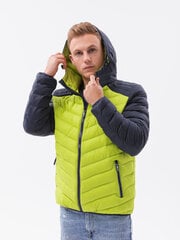 Куртка мужская демисезонная Ombre C366, зеленая цена и информация | Мужские куртки | 220.lv