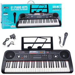 Фортепиано и микрофон, 61 клавиша, 328-06 IN0082 цена и информация | Развивающие игрушки | 220.lv