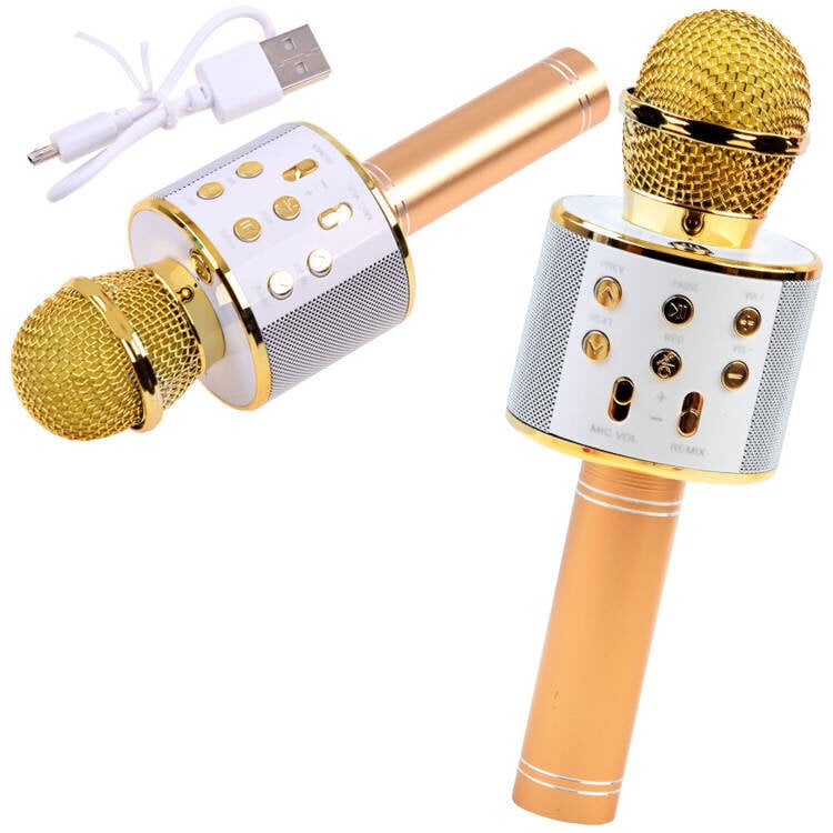 Karaoke-mikrofona bezvadu skaļrunis Gold IN0136 cena un informācija | Attīstošās rotaļlietas | 220.lv