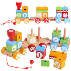 Ряд деревянных блоков с буквами ZA4116 цена и информация | Развивающие игрушки | 220.lv