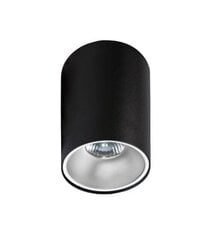 Потолочный светильник Azzardo Remo AZ0818 цена и информация | Потолочный светильник | 220.lv