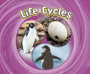 Life Cycles цена и информация | Книги для подростков и молодежи | 220.lv