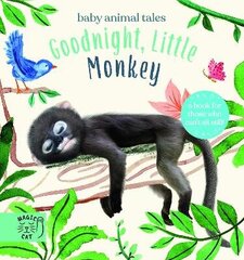 Goodnight, Little Monkey: A book for those who can't sit still cena un informācija | Grāmatas pusaudžiem un jauniešiem | 220.lv