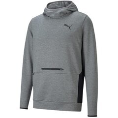 Vīriešu džemperis Puma RTG Hoodie M, pelēks cena un informācija | Vīriešu jakas | 220.lv