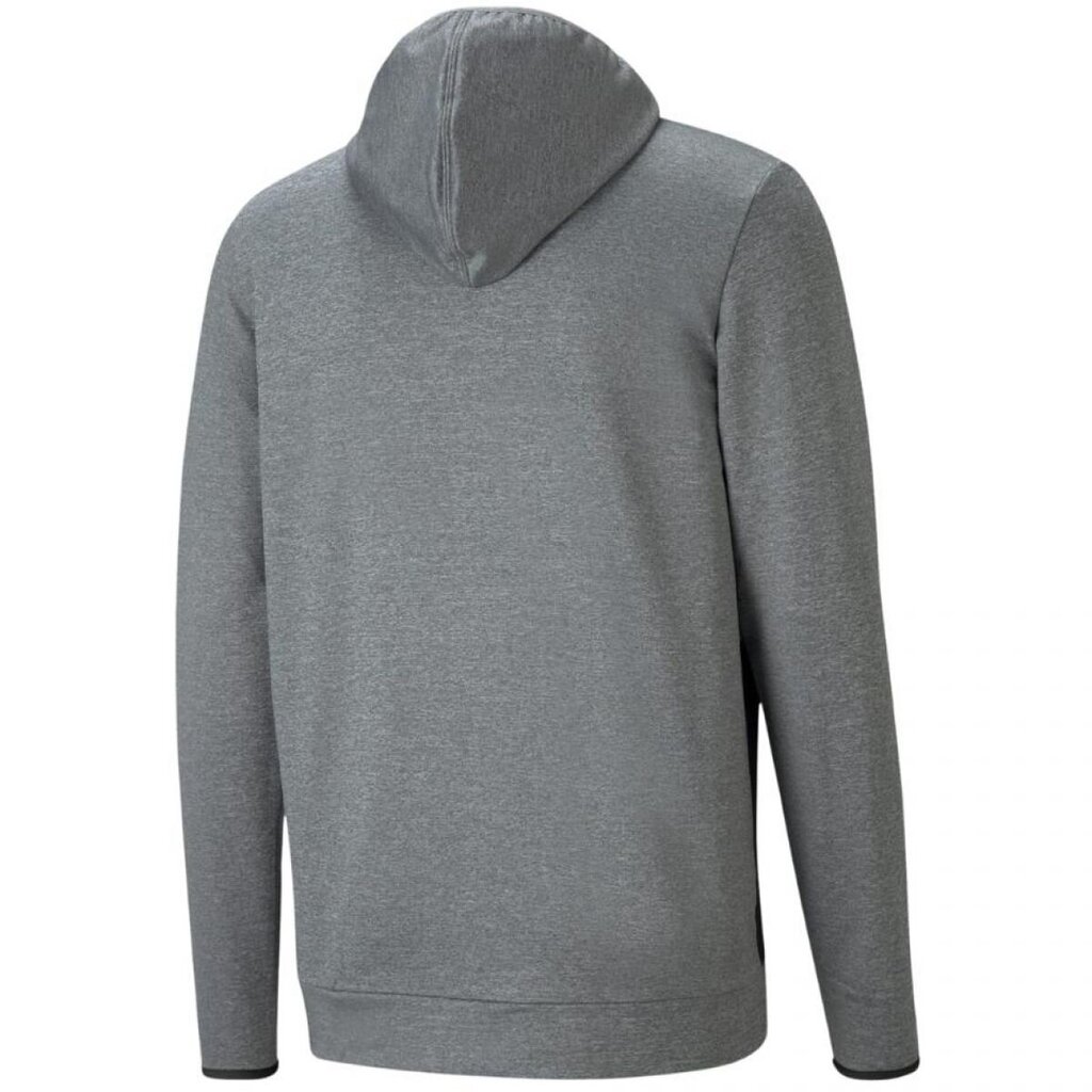 Vīriešu džemperis Puma RTG Hoodie M, pelēks цена и информация | Vīriešu jakas | 220.lv