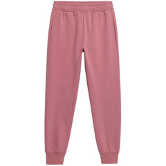 Женские спортивные брюки Outhorn OTHAW22TTROF041 53S, темно-розовые цена и информация | Брюки | 220.lv